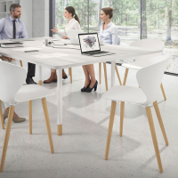 Nordic Chair Emily, ergonomic seat, wooden legs