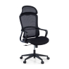 Nebula Ergonomic Office Chair, lumbar cushion