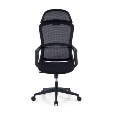 Lumbar Cushion
