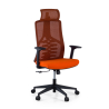 Quick Ergonomic Chair, bionic backrest, adjustable arms