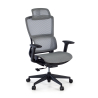 Ergonomic Office Chair with Footrest Balance Pro, 3D Arms
