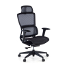 Ergonomic Office Chair with Footrest Balance Pro, 3D Arms