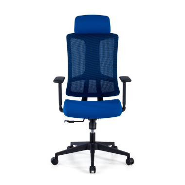 ergonomic chair blue black frame mesh 3d adjustable armrests lumbar support headrest 3