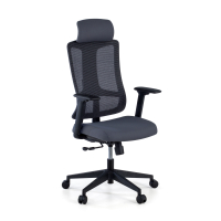 Team2 Ergonomic Office...