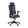 Team2 Ergonomic Office Chair, Professional, heavy use