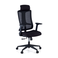 Team2 Ergonomic Office...