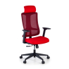 Team2 Ergonomic Office Chair, Professional, heavy use