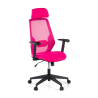 Belinda Ergonomic Office Chair, high back