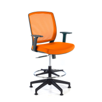 Office Stool with Arms Lady