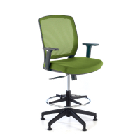 Office Stool with Arms Lady
