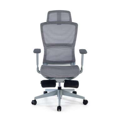 ergonomic chair gray with footrest mesh 3d adjustable armrests double lumbar support headrest extendable footrest 3