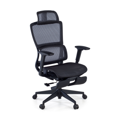 ergonomic chair black with footrest mesh 3d adjustable armrests double lumbar support headrest extendable footrest 1