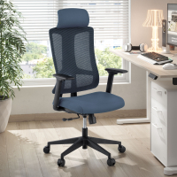 Team2 Ergonomic Office...