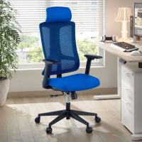 Team2 Ergonomic Office Chair, Professional, heavy use