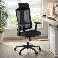 Team2 Ergonomic Office...