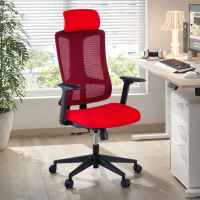 Team2 Ergonomic Office...