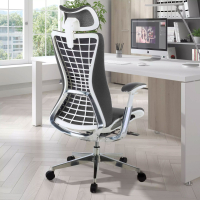 Professional Ergonomic Chair Miller, 3D arms, mesh