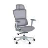 Ergonomic Office Chair with Footrest Balance Pro, 3D Arms
