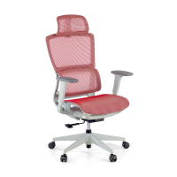 Ergonomic Office Chair...