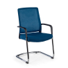 Visitor chair Bali, sled base, ergonomic mesh backrest