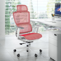 Ergonomic Office Chair...
