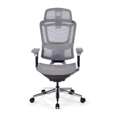 ergonomic chair gray valkyr mesh 4d adjustable armrests double lumbar support headrest 6