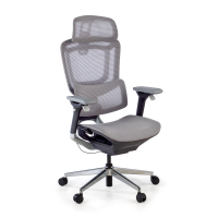 Valkyr Ergonomic Office...