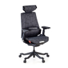 BloodDragon Ergonomic Gaming Chair