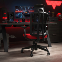 Ergonomic Chair Ridley, headrest, synchronous mechanism