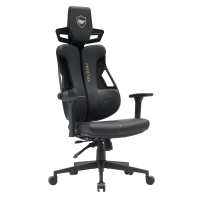 Phoenix design Gaming...