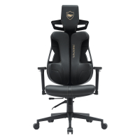 Phoenix design Gaming Chair, ergonomic backrest