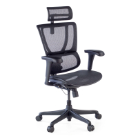 IOO Ergonomic Office Chair