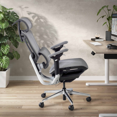 Completely Adjustable