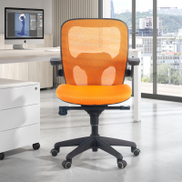 Amira ergonomic office...