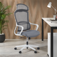 Nebula Ergonomic Office...
