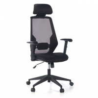 Ergonomic Office Chair...