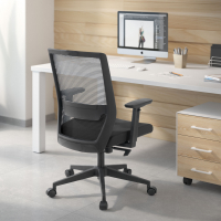Kana Swivel Office Chair, Adjustable Arms, Lumbar Support 210921 - (Outlet)