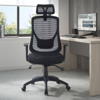 Lake office chair,...