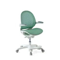 Kids Desk Chairs