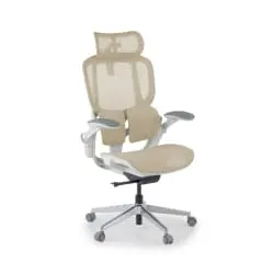 Ergonomic Chairs